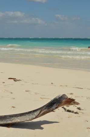 Soleil brûlant de 2013